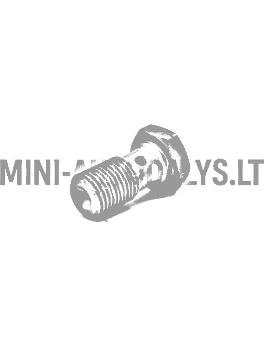 Banjo polt pidurivoolik (M10x100)