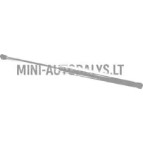 Tagaluugi amort Ligier JS50 / JS50L