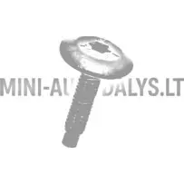 Montaažikruvi M6x25 Ligier / Microcar / Due
