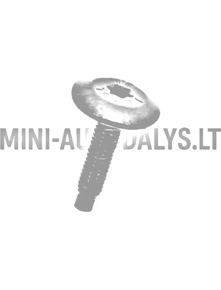 Montaažikruvi M6x25 Ligier / Microcar / Due
