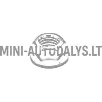 Kinnitusmutter käigukasti variaator Aixam