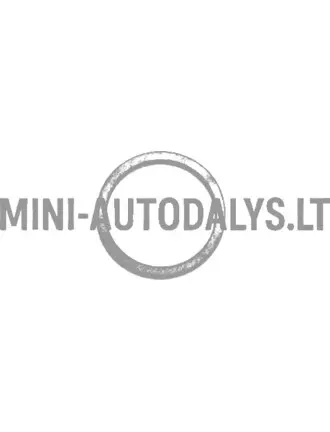 Tihendusrõnga temperatuuriandur radiaator Microcar / Ligier