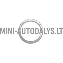 Tihendusrõnga temperatuuriandur radiaator Microcar / Ligier