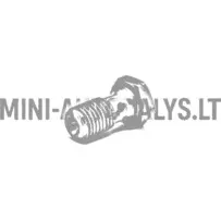 Banjo polt 10x125 ratta pidurisilinder