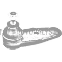 Kuulliigend Bellier / JDM