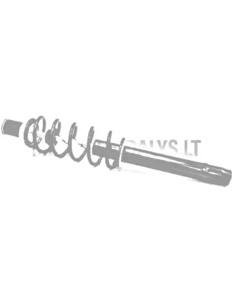 Esimene amortisaator Chatenet