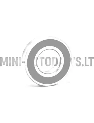 Käigukasti laager 6205 #15895 | Mini Auto Parts