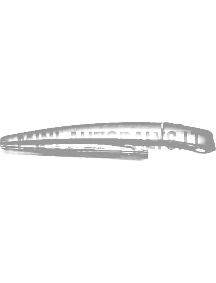 Klaasipuhasti + tagumine klaasipuhasti Microcar / Ligier / JDM