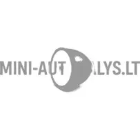 Käigukasti kumm Aixam