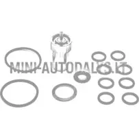 Injektor Lombardini 502 FOCS / Progress