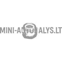 Mutter polt käigukastile Aixam M12