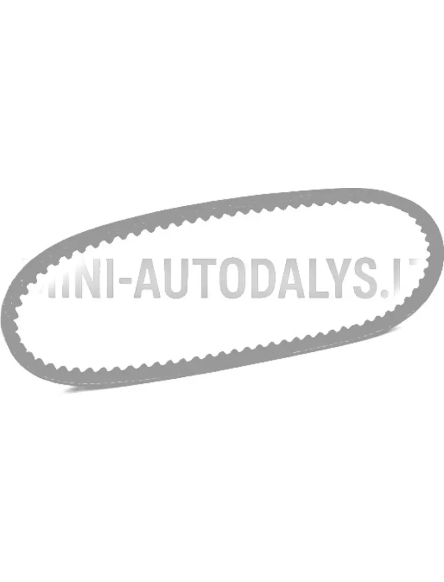 V-kujuline rihm Microcar / Grecav / Ligier (10x617 mm)