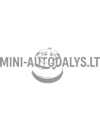 Aixam 2008-2010 soojenduse nupp (Chrome)