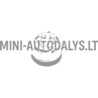 Aixam 2008-2010 soojenduse nupp (Chrome)