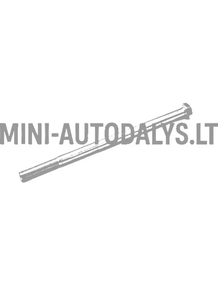 Aixam variaatori mootoripoolne polt (8x160)