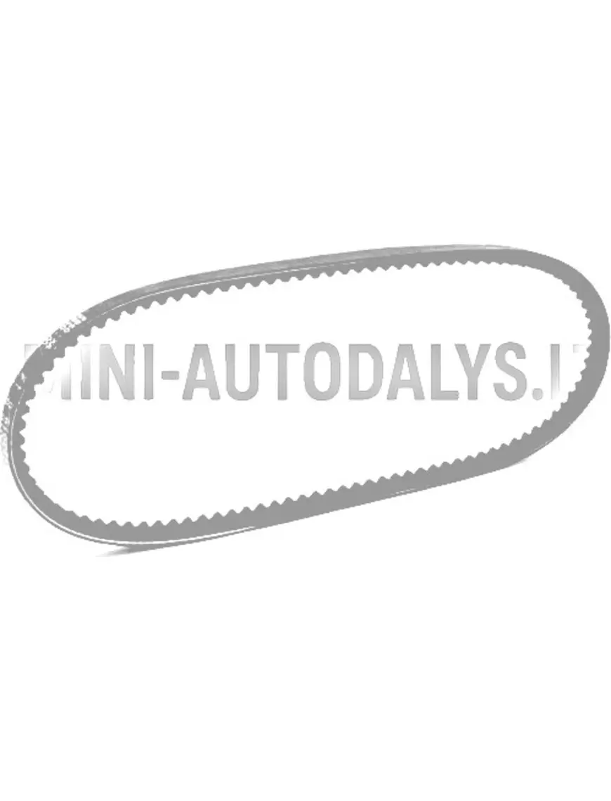 V-kujuline rihm Ligier X-Too S / R / RS (10x685 mm)