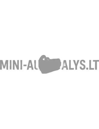 6 mm neetide / popneetide kinnitus Microcar / Ligier