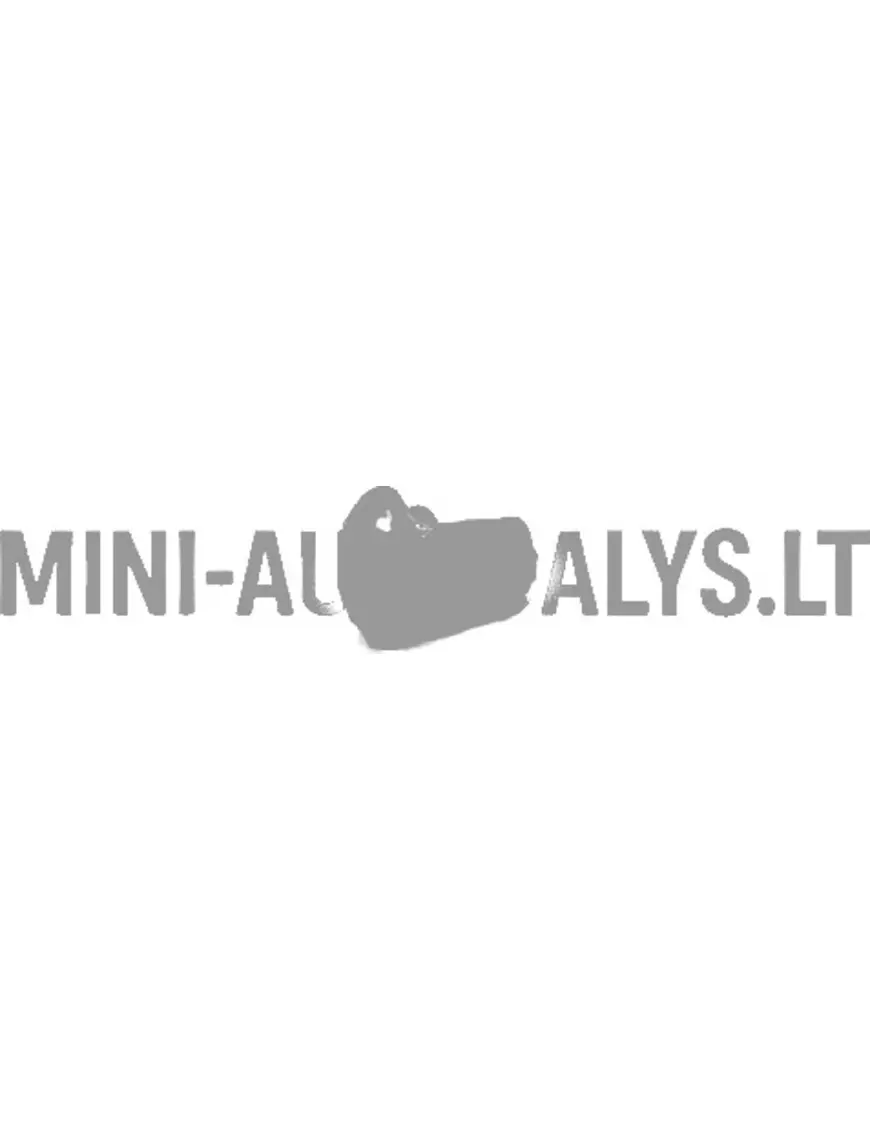 6 mm neetide / popneetide kinnitus Microcar / Ligier