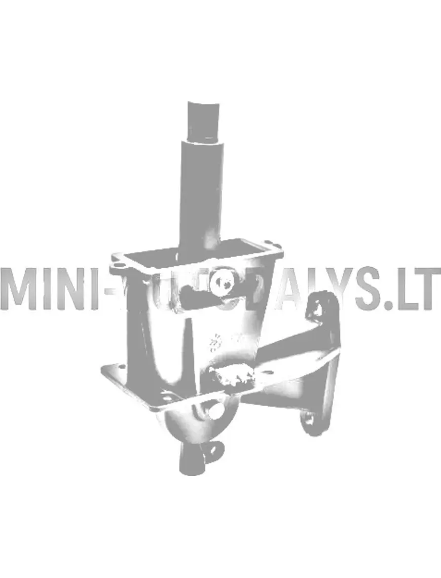 Käiguvahetushoob Microcar / Ligier