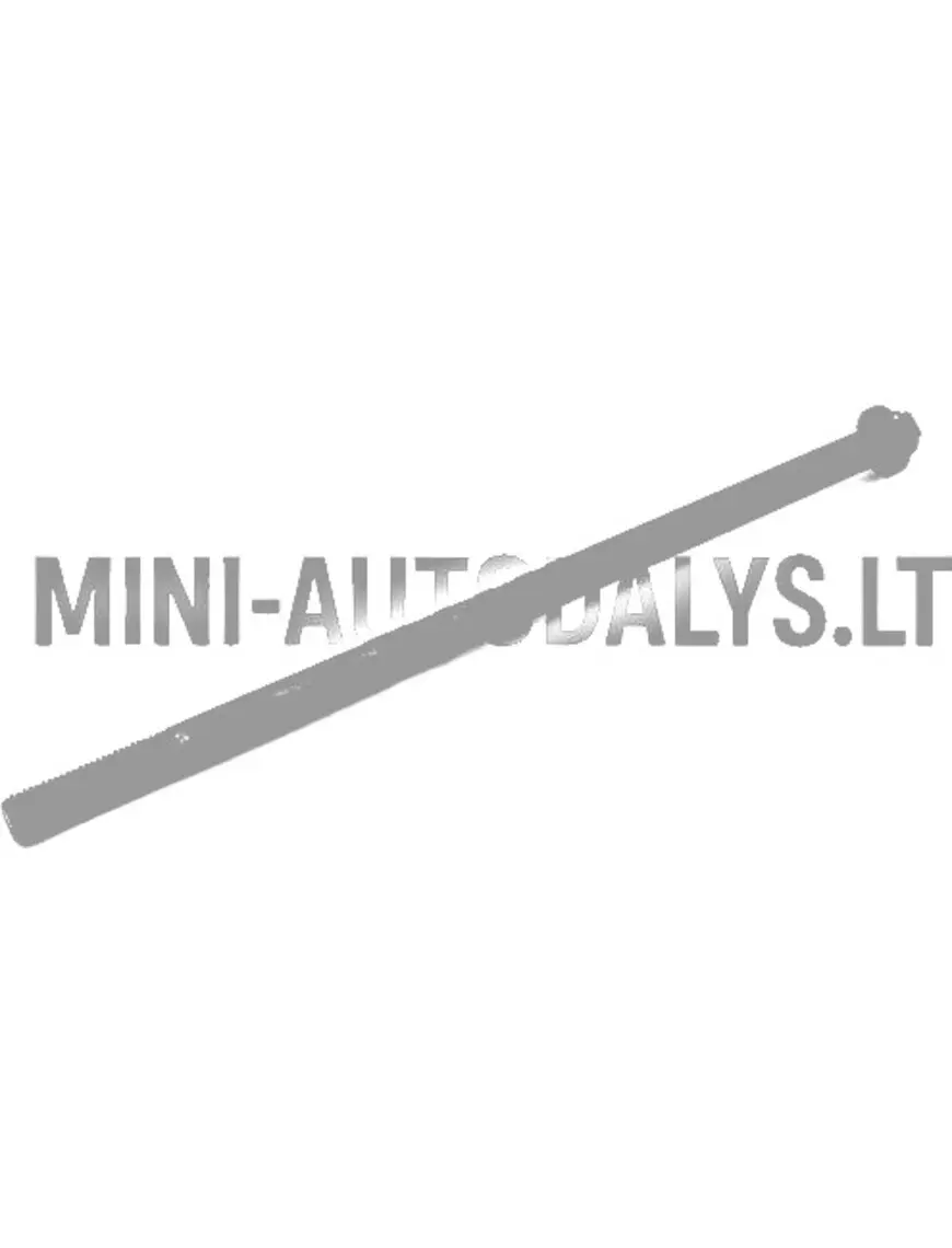 Variomatic mootori külgmise kinnituse polt (Lombardini DCI)