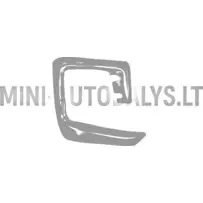 Tagumine vasakpoolne kaitseraua nurk Ligier JS60 Ultimate, MITTEORIGINAAL